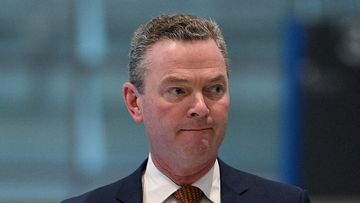 Christopher Pyne apologises for 'damaging' same-sex marriage remarks