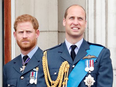 Harry and William olive branch