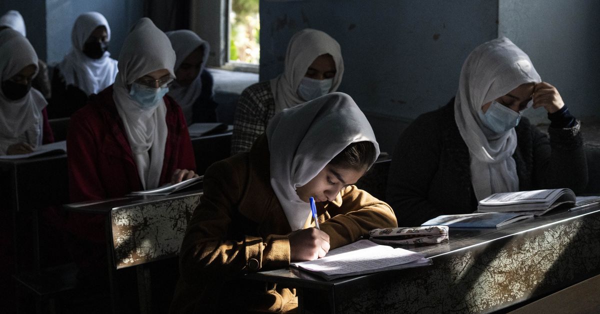 Taliban break promise on higher education for Afghan girls – 9News