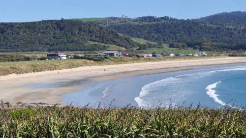 French tourist attacked by shark in New Zealand