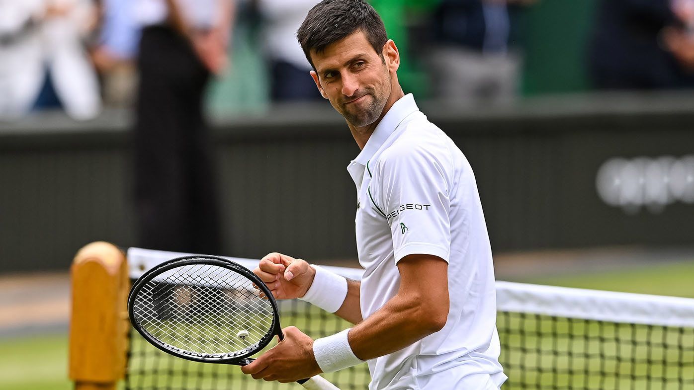 Novak Djokovic's travel documents show apparent irregularity over star's movements