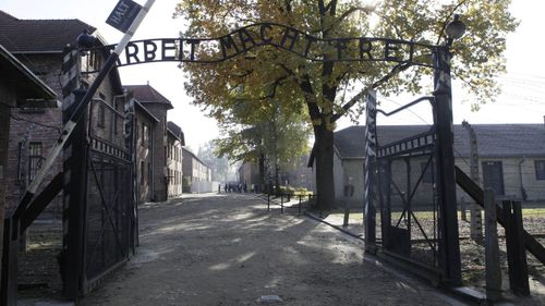 Body parts from victims of Nazi euthanasia programs found at major German research facility