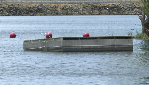 This is the pontoon Mr Trueman was unable to make from the water.