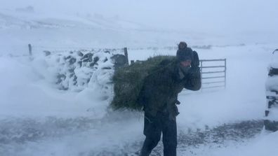 Our Yorkshire Farm Amanda Owen 