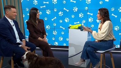 Dr Katrina Warren and her dog Chilli with Karl and Sarah on the Today show