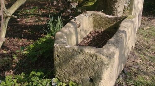 A plant pot which turned out to be a Roman child's coffin.