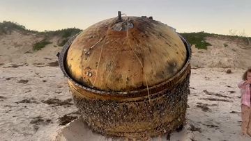 Mystery object washes up on beach near Green Head, WA.