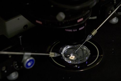 The Chinese researcher "washed" the sperm before injecting the embryo with the genetically altered cells.