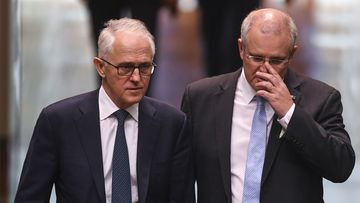 Malcolm Turnbull has thrown his support behind Scott Morrison.