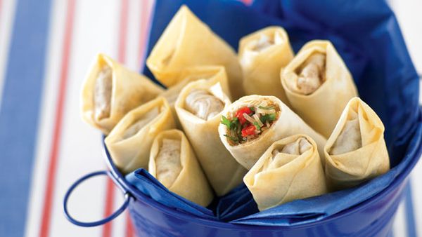 Vegetable spring rolls