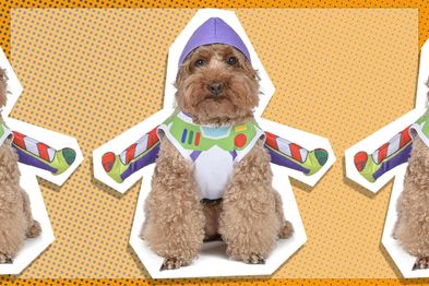 9PR: Disney for Pets Halloween Toy Story Buzz Lightyear Costume