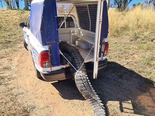 A﻿ problem crocodile that ate dogs and lunged at passersby has been killed in a remote town in the Northern Territory.