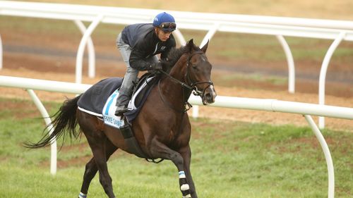 Aussie punter has $468,000 hanging in the balance on Melbourne Cup