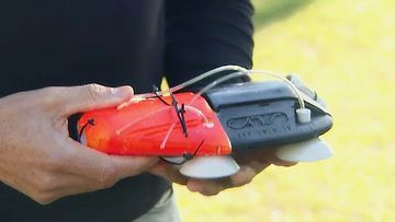 A Queensland University has developed what is being touted as a &quot;world-first&quot; technology allowing for easier and precise tracking of whales. 
