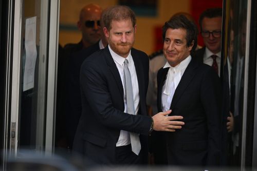 Prince Harry, Duke of Sussex and barrister David Sherborne 