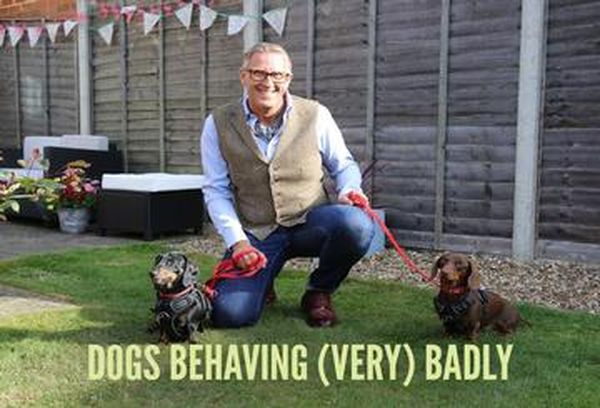 Dogs Behaving (Very) Badly