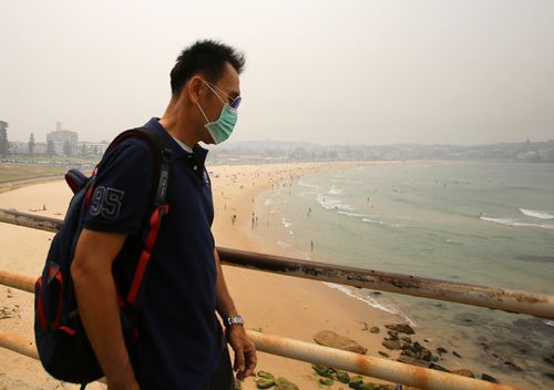 A tourist looks over a smoky Bondi Beach, in Sydney's eastern suburbs. Thick smoke descended on the city yesterday reducing visibility levels and sending air quality safety levels plummeting.