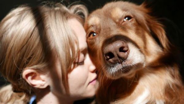 True love - Amanda Seyfried and dog Finn. Image: Instagram/@mingey