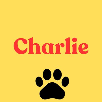 7. Charlie