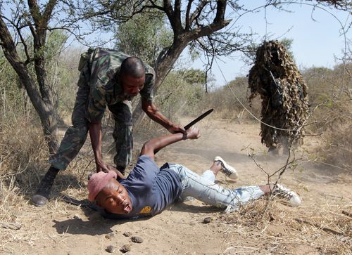 Security staff stage a mock capture and arrest of 'poachers' on a game farm in the Waterberg district, some 350km north-west of Johannesburg, South Africa.