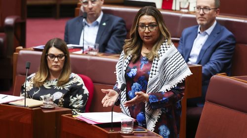 A senadora verde em NSW, Mehreen Faruqi, atraiu a ira da senadora One Nation de Queensland Pauline Hanson em 2022 pelos tweets que ela fez sobre a rainha Elizabeth II após sua morte.