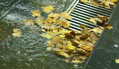 Up to 30mm is predicted to fall over the next two days. (9NEWS)