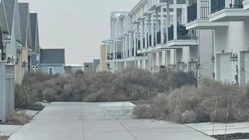 'Absolutely crazy' tumbleweeds invade US towns