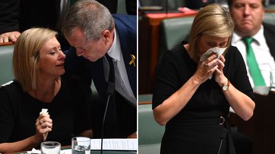 Lamb 'has case to answer' despite tears in parliament