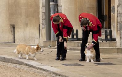 Queen Elizabeth with dog