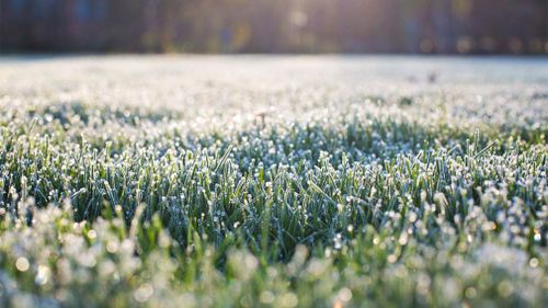 Rug up – a cold front is coming. 