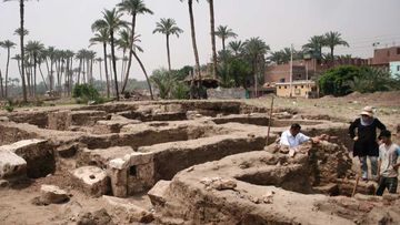 The excavation site in Mit Rahina, Egypt.