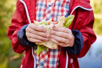 Close-up of child eating sandwich. Boy holding bitten snack. Sandwich consisting of bread, vegetables and cheese. Boy having picnic. Its illustrating relationship between grandchild and grandparent. It is perfect for using it in commercial and advertising photography, reports, books, presentation