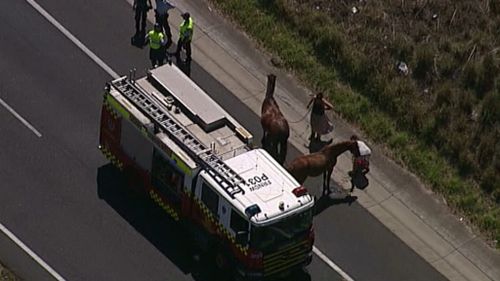 Traffic has backed up heavily on the southbound lanes. (9NEWS)