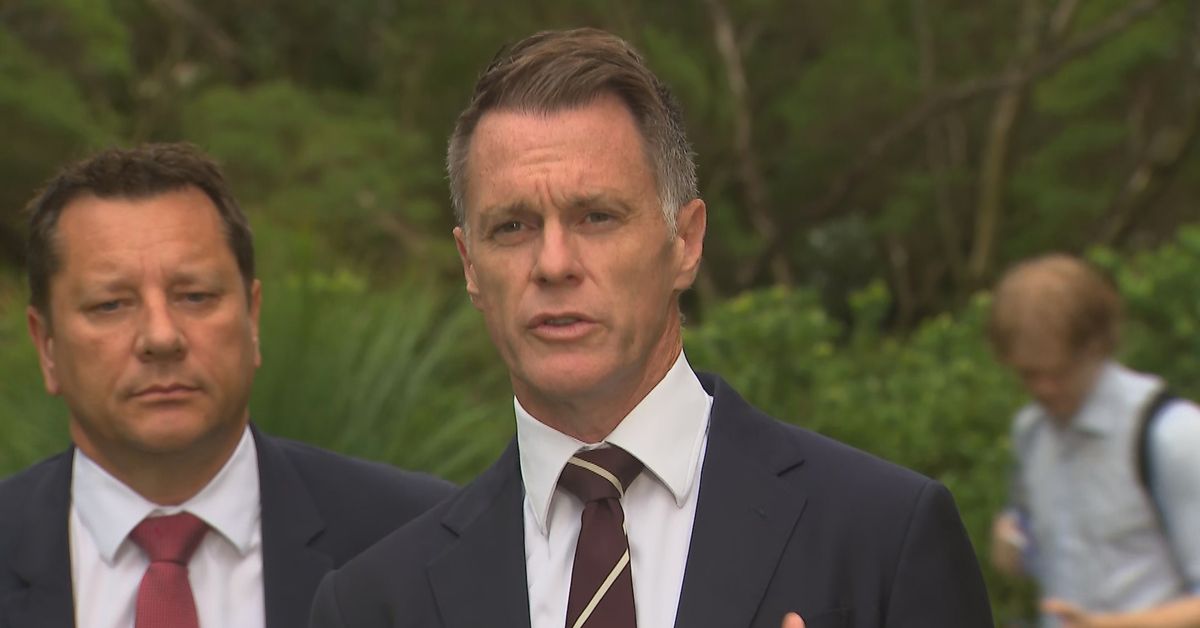 Hate speech law to expand into schools, teachers, Minns says