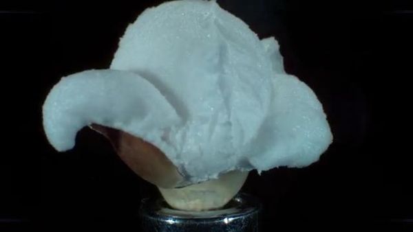 Popcorn popping at 30,000 frame per second will make you misty eyed