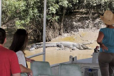 Whitsundays Crocodile Safaris airlie beach