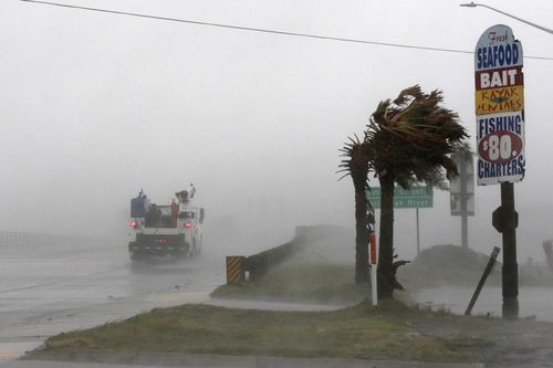A work truck drives on Hwy 24 as the wind from Hurricane Florence blows palm trees in Swansboro North Carolina.