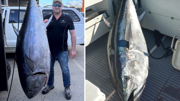 133kg Bluefin Tuna