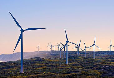 What type of energy do wind turbines convert to electrical energy?
