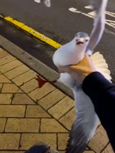 Man sparks outrage as he catches a flying thief: 'I'm quite scared of birds'