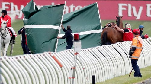 The horse was treated on the track by a vet before being taken away. (AAP)