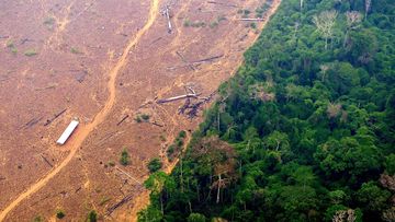 **This image is for use with this specific article only** The Amazon has survived changes in the climate for 65 million years. Now it&#x27;s heading for collapse, a study says