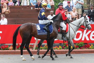 2. ALENQUER (56.5kg, barrier 9)