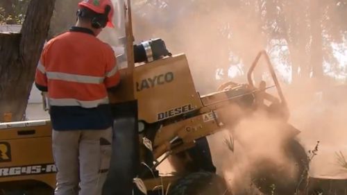 Work on Appin Road's safety boost commenced today. (9NEWS)