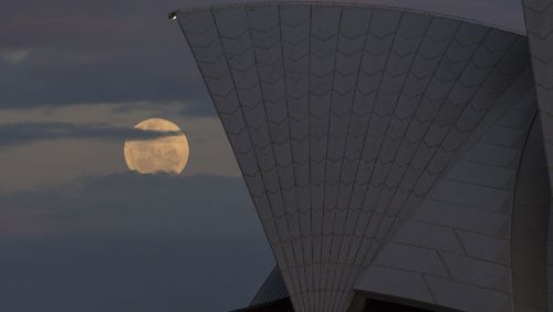 The Supermoon rises behind the Opera House on November 14, 2016 in Sydney, Australia. 