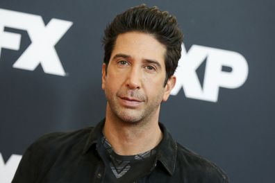 David Schwimmer arrives at the 2016 FX Winter TCA