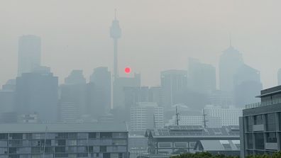 Smoke choking Sydney as bushfires rage