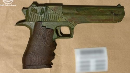 A teenager has been charged with allegedly manufacturing 3D-printed guns at the University of Wollongong. ï»¿