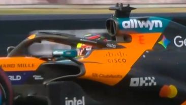 McLaren on pole for Hungary