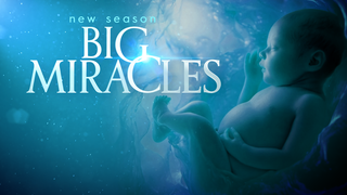 big miracles